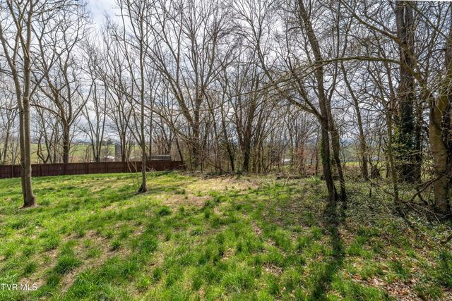 226 Dorothy Circle, Limestone, TN 37681