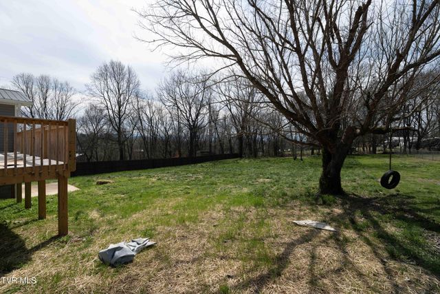 226 Dorothy Circle, Limestone, TN 37681