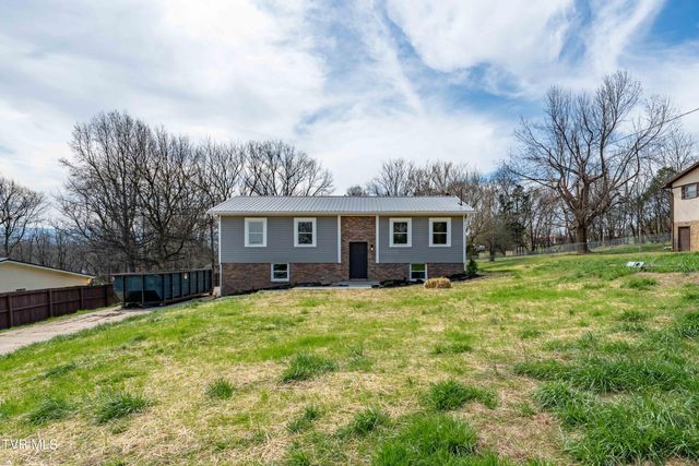 226 Dorothy Circle, Limestone, TN 37681