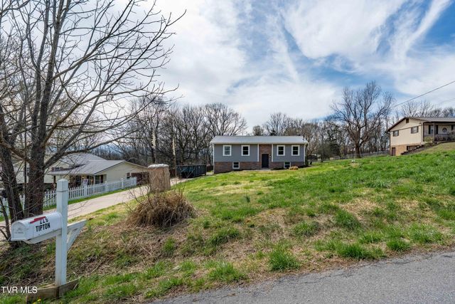 226 Dorothy Circle, Limestone, TN 37681