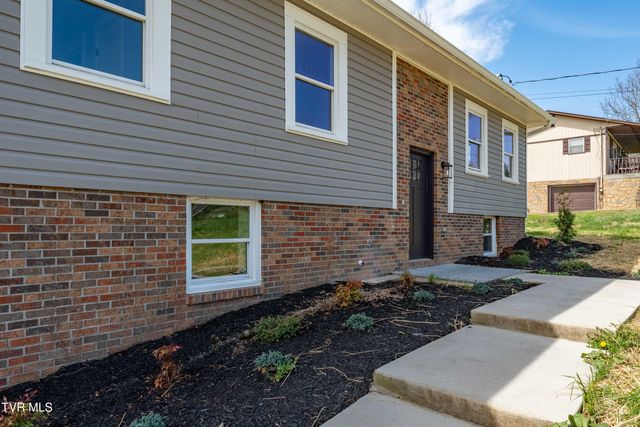 226 Dorothy Circle, Limestone, TN 37681