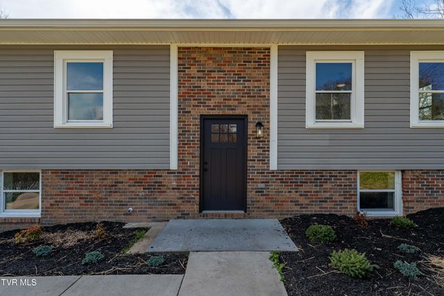 226 Dorothy Circle, Limestone, TN 37681