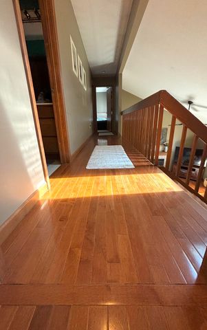 10009 Delmar Street, St. John, IN 46373