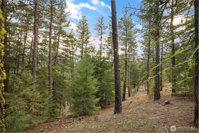 28 Wanawish Loop, Cle Elum, WA 98922