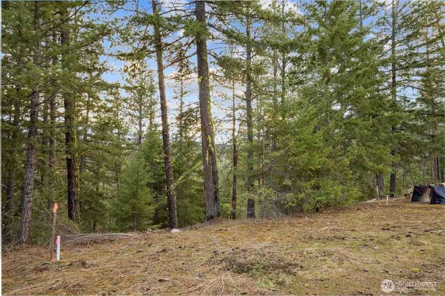 28 Wanawish Loop, Cle Elum, WA 98922