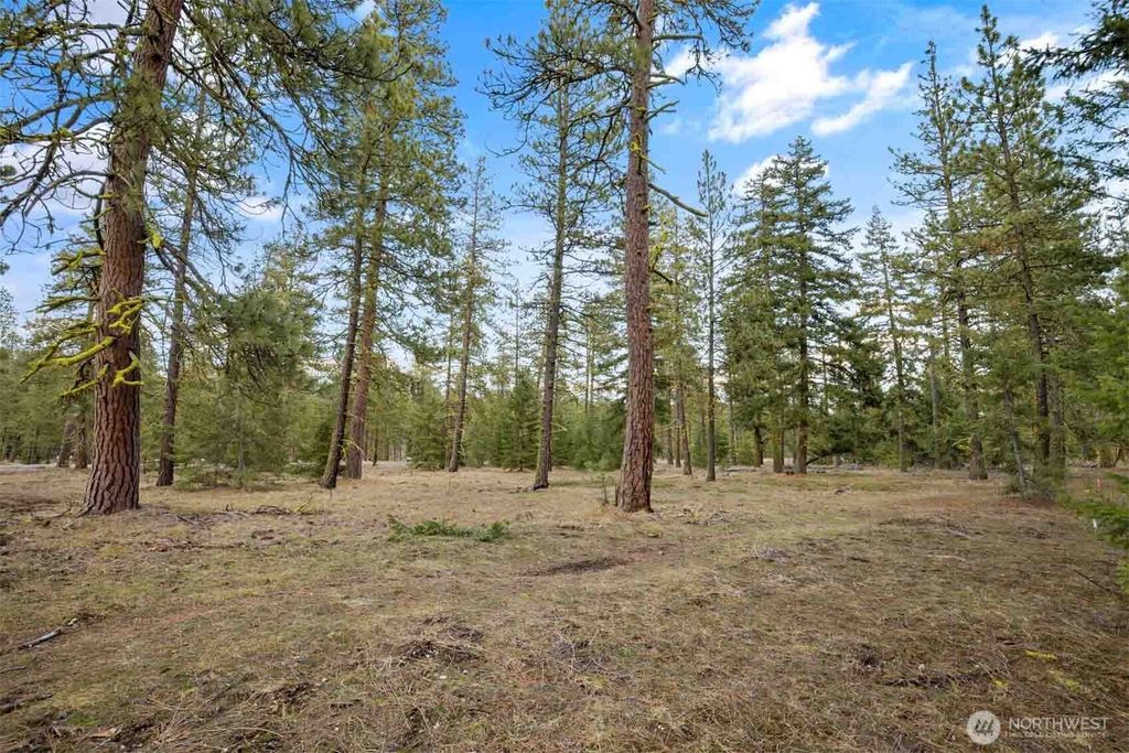 28 Wanawish Loop, Cle Elum, WA 98922