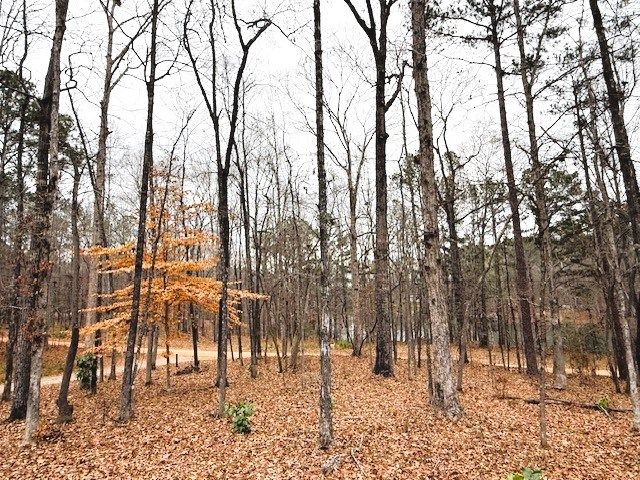 164 Alexander Lane, Fortson, GA 31808