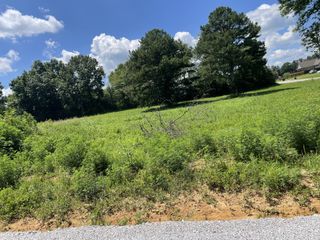 0 Hidden Hills Lane, Summertown, TN 38483