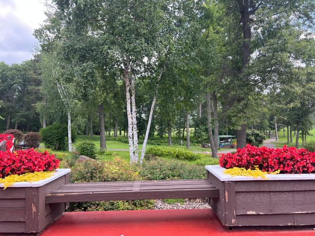 24523 Brownie Way, Nisswa, MN 56468