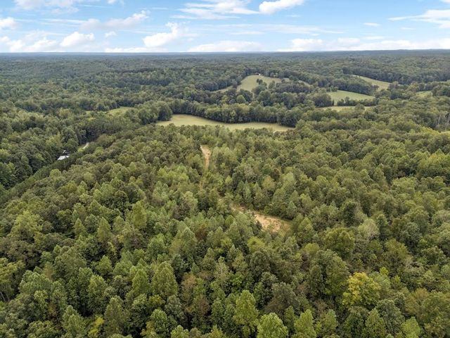 0 Trace Creek Rd, Hohenwald, TN 38462