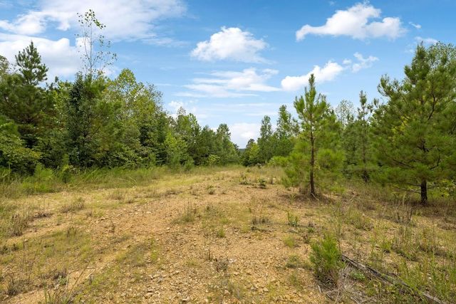 0 Trace Creek Rd, Hohenwald, TN 38462