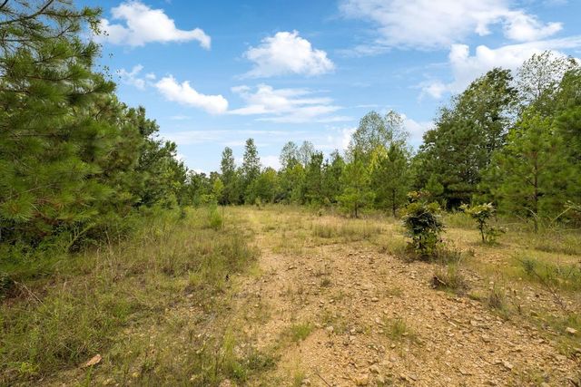 0 Trace Creek Rd, Hohenwald, TN 38462