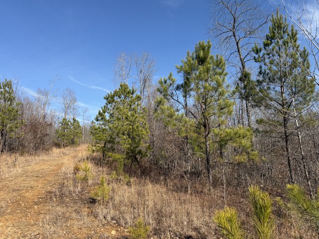 0 Trace Creek Rd, Hohenwald, TN 38462