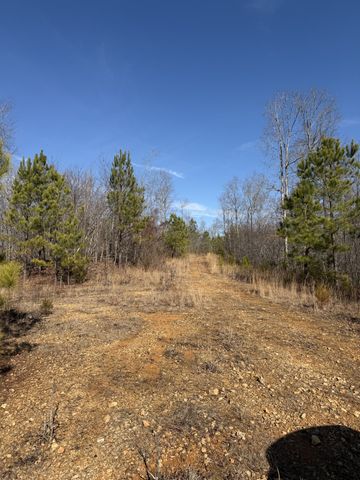 0 Trace Creek Rd, Hohenwald, TN 38462