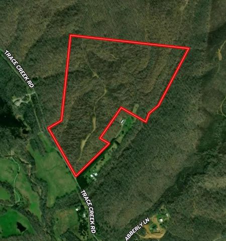 0 Trace Creek Rd, Hohenwald, TN 38462