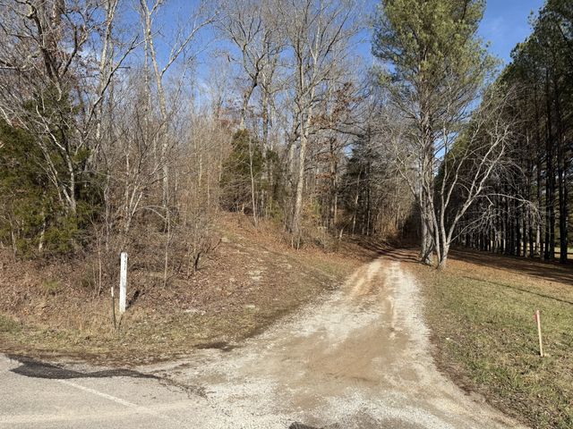 0 Trace Creek Rd, Hohenwald, TN 38462