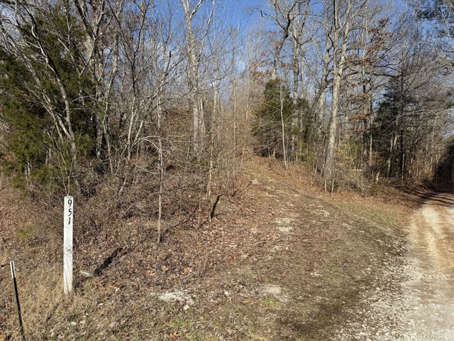 0 Trace Creek Rd, Hohenwald, TN 38462