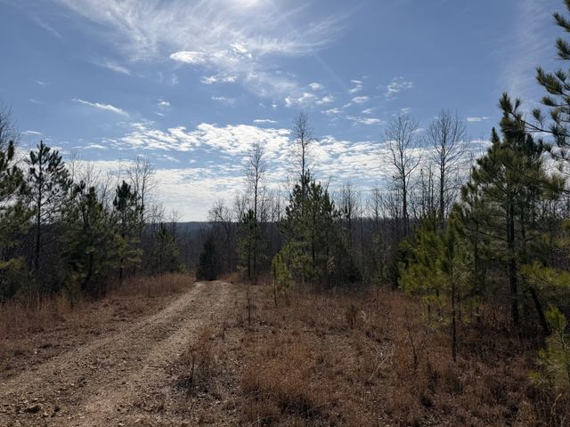 0 Trace Creek Rd, Hohenwald, TN 38462