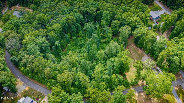 236 Allenwood Drive, Surgoinsville, TN 37873