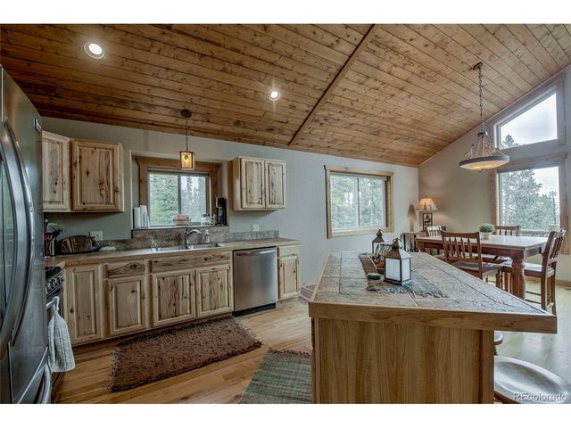 566 Miners Way, Fairplay, CO 80440