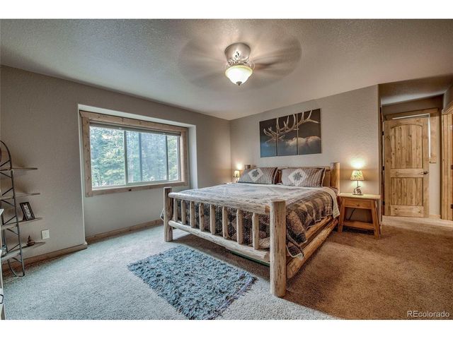 566 Miners Way, Fairplay, CO 80440