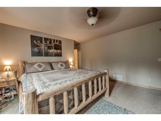 566 Miners Way, Fairplay, CO 80440