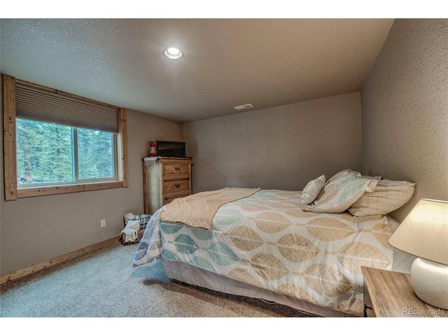 566 Miners Way, Fairplay, CO 80440