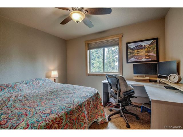 566 Miners Way, Fairplay, CO 80440