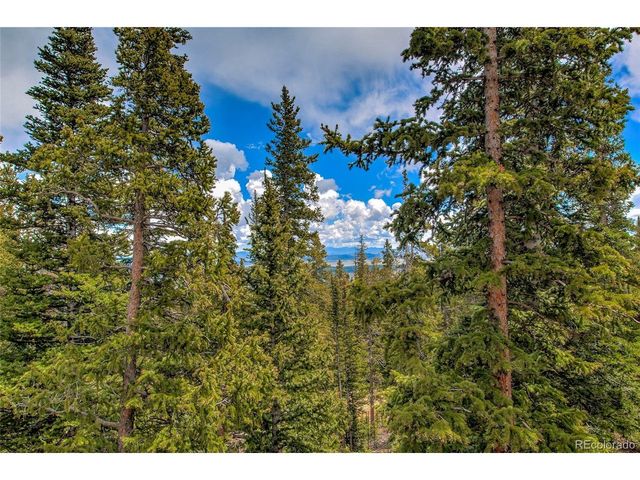 566 Miners Way, Fairplay, CO 80440