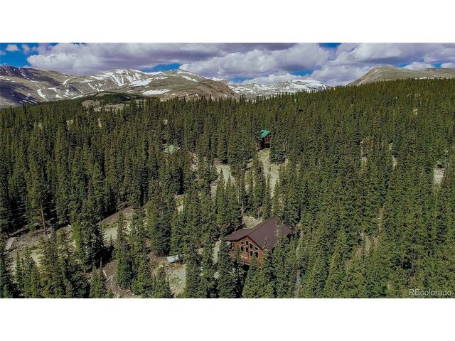 566 Miners Way, Fairplay, CO 80440