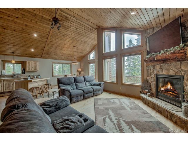 566 Miners Way, Fairplay, CO 80440
