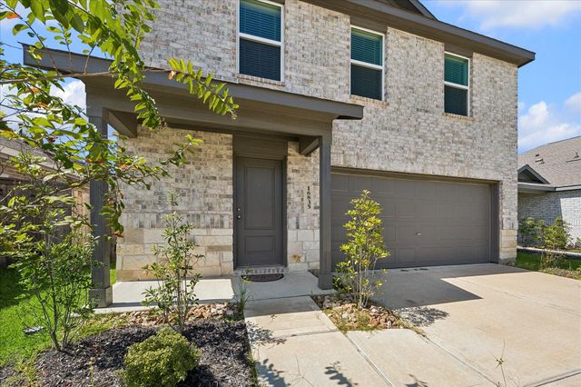 16835 Rustic Star Drive, Hockley, TX 77447