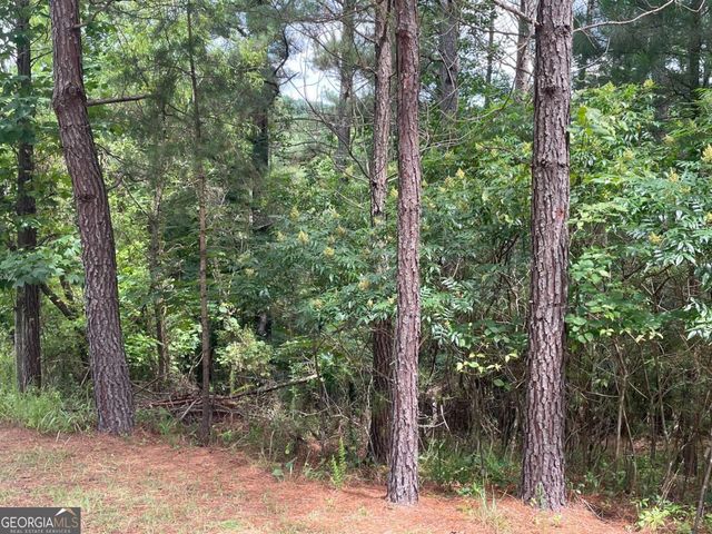 LOT 1 Pinehurst 1, Blairsville, GA 30512