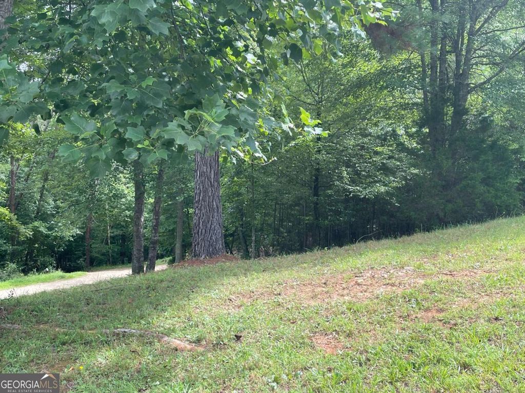 LOT 1 Pinehurst 1, Blairsville, GA 30512