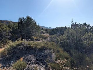 8 Mountain Road, Pinon Hills, CA 92372