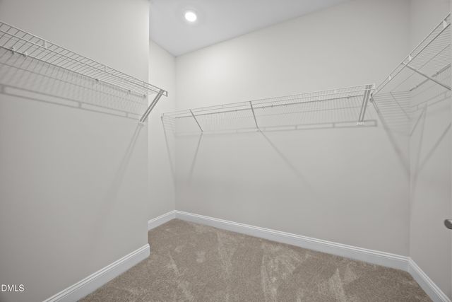 226 English Violet Lane, Raleigh, NC 27610