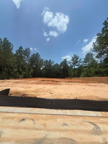 41685 Wendele Way, Todd Mission, TX 77316