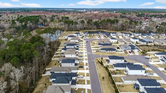 2929 LUCILLE LANE, Middleburg, FL 32068