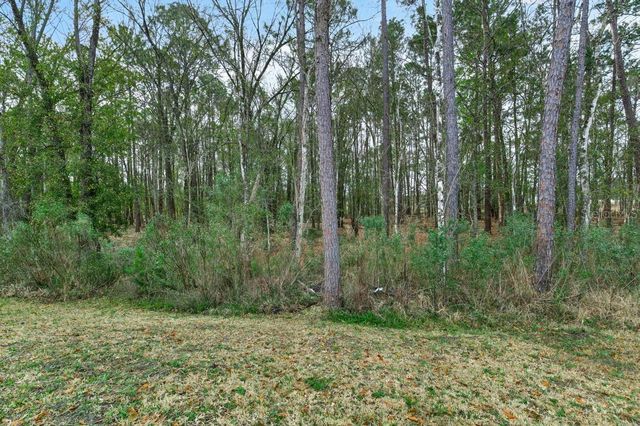 2929 LUCILLE LANE, Middleburg, FL 32068