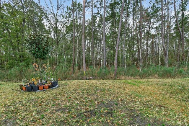 2929 LUCILLE LANE, Middleburg, FL 32068