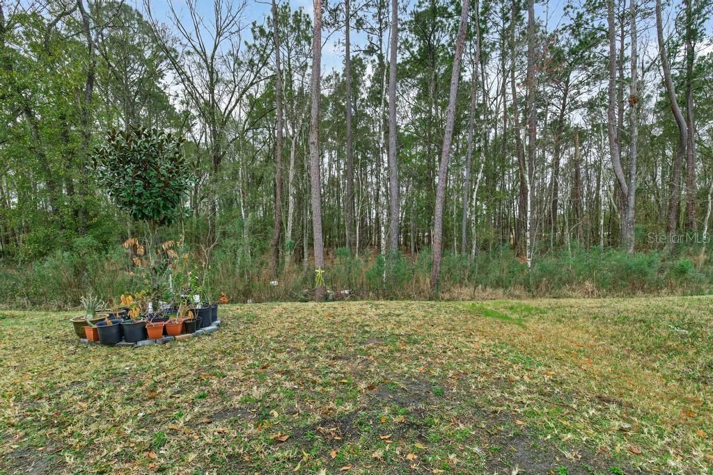 Image 74 of property listing at 2929 LUCILLE LANE, Middleburg, FL 32068