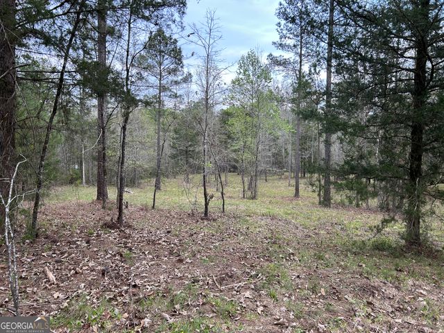 01 Hornets Bridge Drive, Elberton, GA 30635