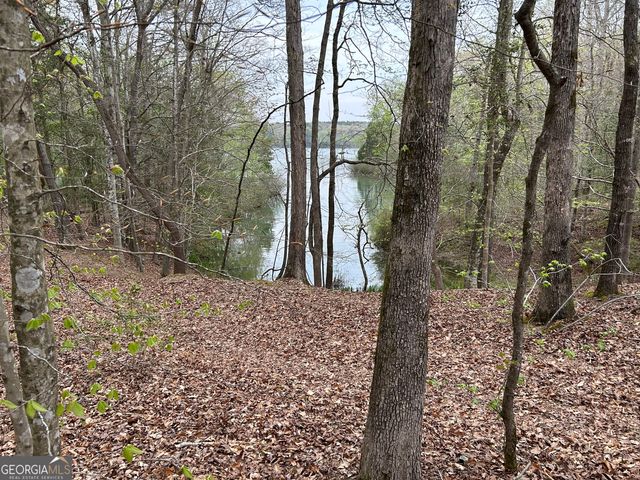 01 Hornets Bridge Drive, Elberton, GA 30635