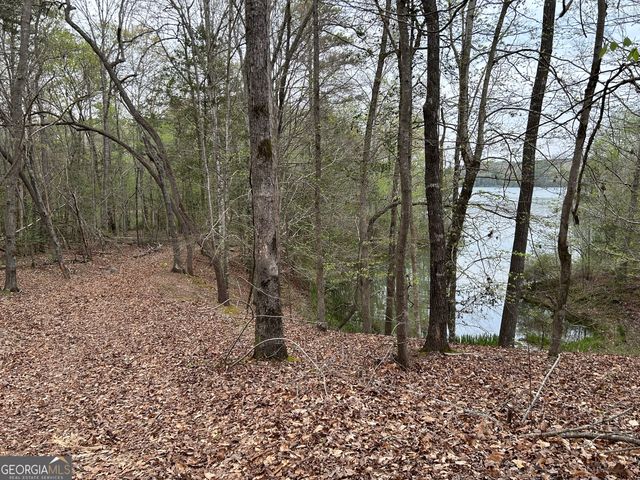 01 Hornets Bridge Drive, Elberton, GA 30635