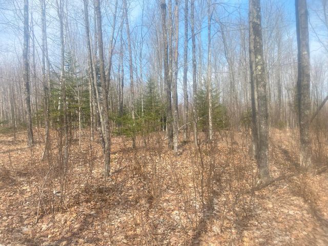 TBD Old Hwy 13 Rd, Herbster, WI 54844