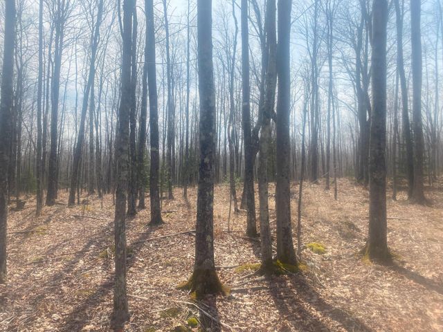 TBD Old Hwy 13 Rd, Herbster, WI 54844