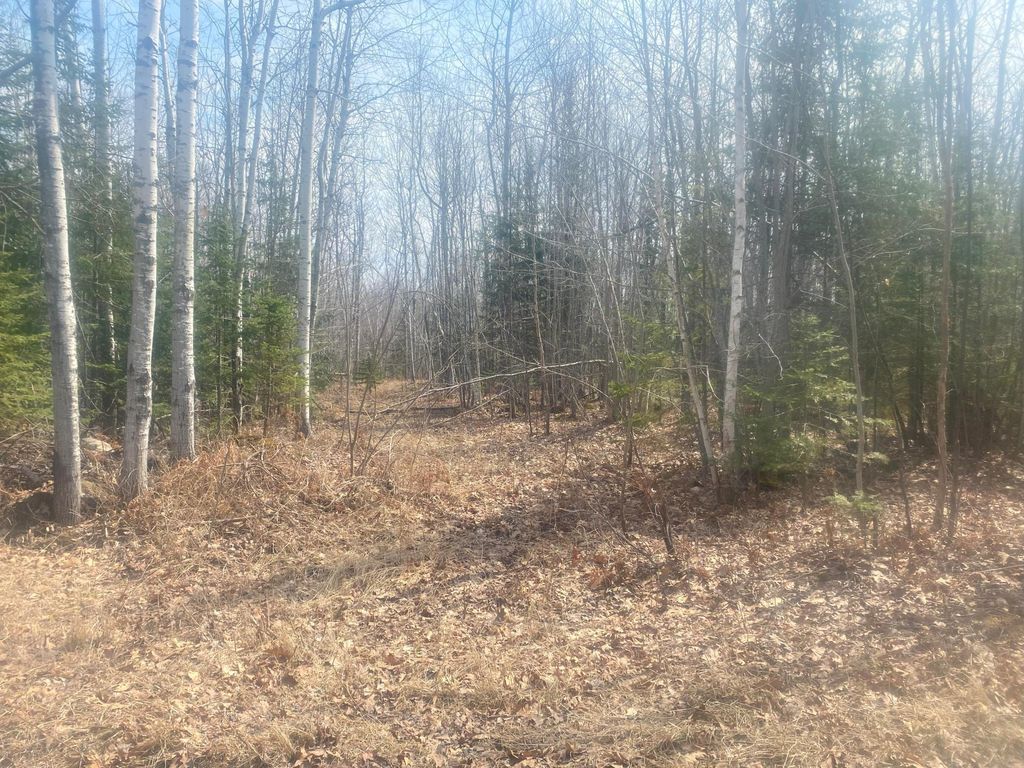 TBD Old Hwy 13 Rd, Herbster, WI 54844