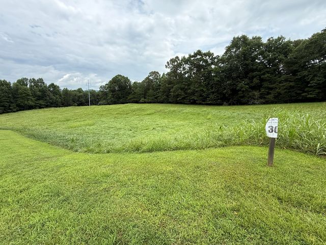 LOT 30 The Grove @ Highland, Blairsville, GA 30512
