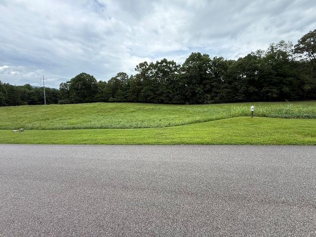 LOT 30 The Grove @ Highland, Blairsville, GA 30512