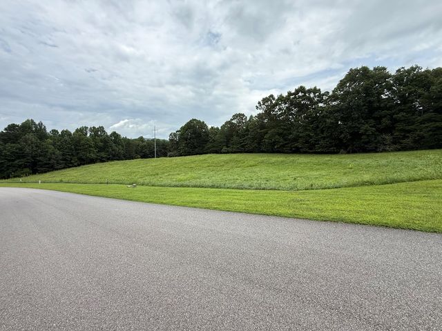 LOT 30 The Grove @ Highland, Blairsville, GA 30512
